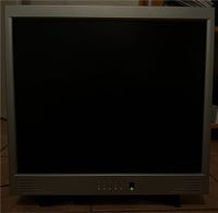 Monitor 49cm Diagonale Niedersachsen - Winsen (Luhe) Vorschau