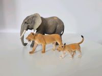 Ravensburger tiptoi Elefant Löwe und Löwenbaby Brandenburg - Ahrensfelde Vorschau