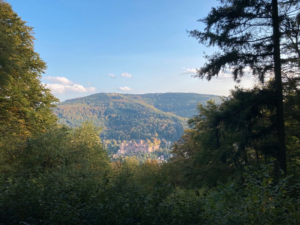 Tolle Ferienwohnungen für Urlaub oder Geschäftsreisen in Heidelberg