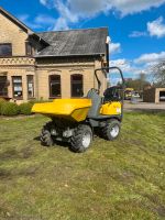 Dumper Muldenkipper Wacker 1501 Drehmulde Minibagger mieten Schleswig-Holstein - Hamdorf Vorschau