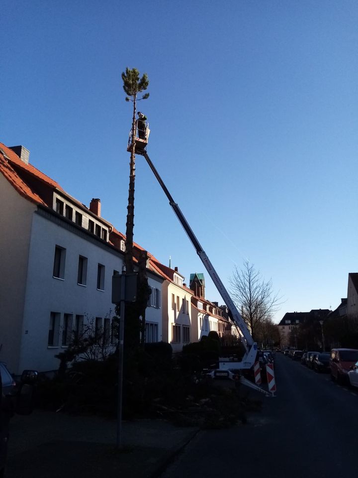 Dienstleistungen im Umkreis von Metelen in Metelen