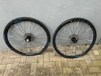 Gravel / Rennrad Laufradsatz Fulcrum Racing 700 Baden-Württemberg - Willstätt Vorschau