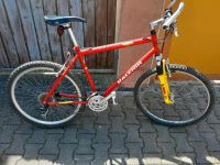 MTB RALEIGH 26" SUNTOUR Federgabel Rheinland-Pfalz - Mainz Vorschau