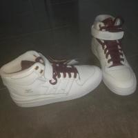 Adidas Schuhe Neu gr 38.5 Nordrhein-Westfalen - Witten Vorschau