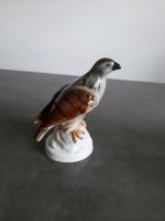 Alte Foreign Porzellanfigur Vogel 7950 Greifvogel Bayern - Walsdorf Vorschau