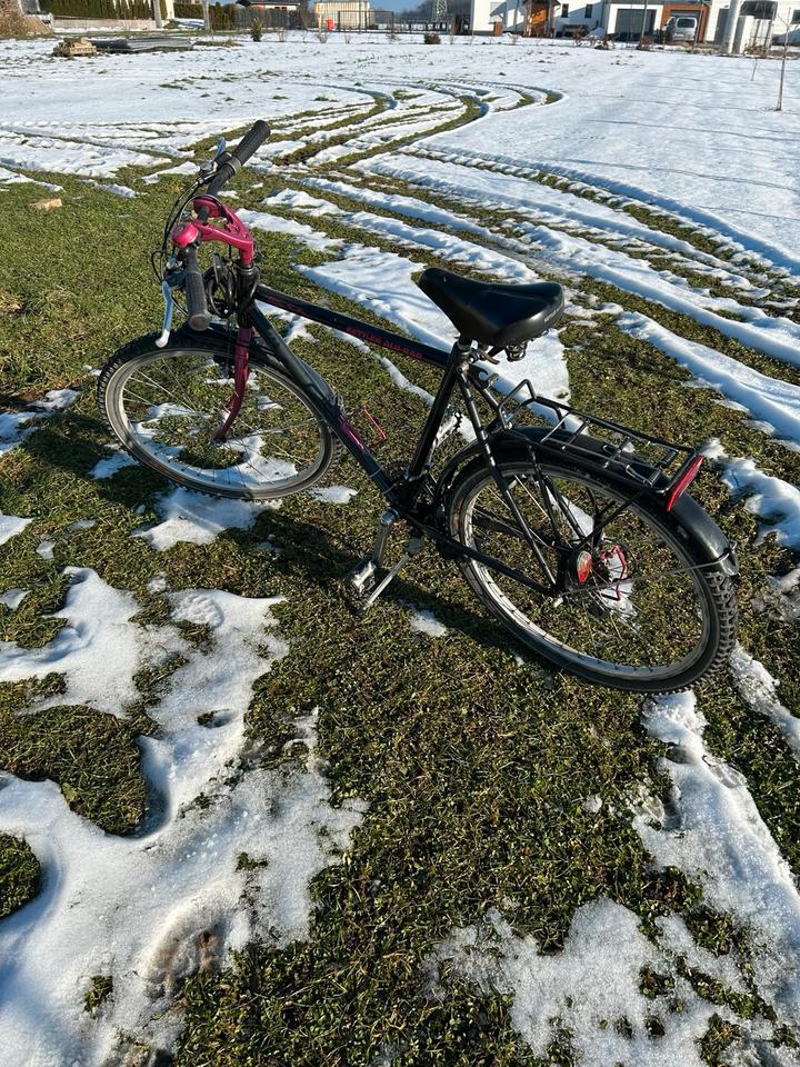 Kettler Alurad 26 Zoll neu in Nideggen / Düren