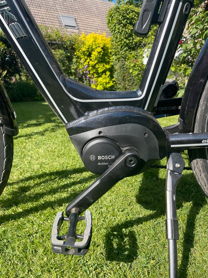 EBIKE C006 Active CHELSEA - Trekking E-Bike - 2019 in Meine