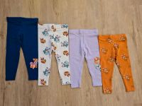 Paw Patrol Leggings 86/92 Sky Mädchen Hosen Gummizug neu Hunde Nordrhein-Westfalen - Bergisch Gladbach Vorschau