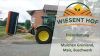 Dienstleistung Mulchen von Grünland / Mais / Buschwerk Bayern - Eschenbach Vorschau