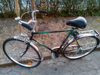 Herrenfahrrad 28 Zoll mit Nirosta Chrome-Schutzblechen Bayern - Königsberg i. Bayern Vorschau