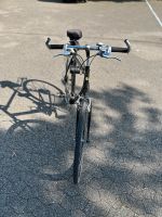 Schauff Tracking Herren Fahrrad Rheinland-Pfalz - Sinzig Vorschau