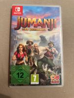 Nintendo Switch Jumanji Das Videospiel Baden-Württemberg - Althengstett Vorschau