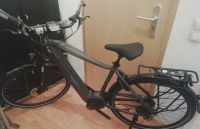 BBF "Arosa" Herren E-Bike (NEU) Bosch Nabenschaltung Essen - Essen-Borbeck Vorschau