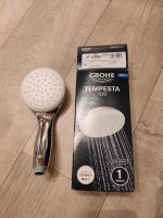 Grohe Tempesta 100 Duschkopf,ECO,Duschbrause,Handbrause Nordrhein-Westfalen - Heinsberg Vorschau