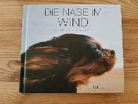 Hundebuch "Die Nase im Wind", Lübbe Verlag, Hundefotos Rheinland-Pfalz - Rheinbrohl Vorschau