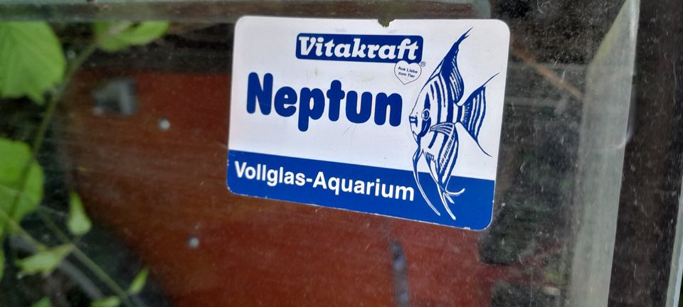 Glas-Aquarium 200l / Glaskasten ohne Deckel 100 x 40 x 50cm in Düren