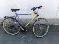 Fahrrad 28 Zoll zu verkaufen Hessen - Schwalmstadt Vorschau