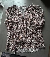 Taifun Leobluse 40 Saarland - Bexbach Vorschau