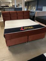 Bett Boxspringbett 180x200 Betten Samt Hotelbett Fabrikverkauf Nordrhein-Westfalen - Herford Vorschau