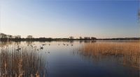 Ferienhaus LastMinute Pfingsten frei am See mit Boot nahe Ostsee Parchim - Landkreis - Raben Steinfeld Vorschau