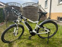 Ebike MTB 29“ Haibike Sduro Hardnine 6.5 **Top Zustand** Baden-Württemberg - Steinheim Vorschau