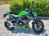 Kawasaki Z300 - A2 tauglich Bayern - Fürstenzell Vorschau