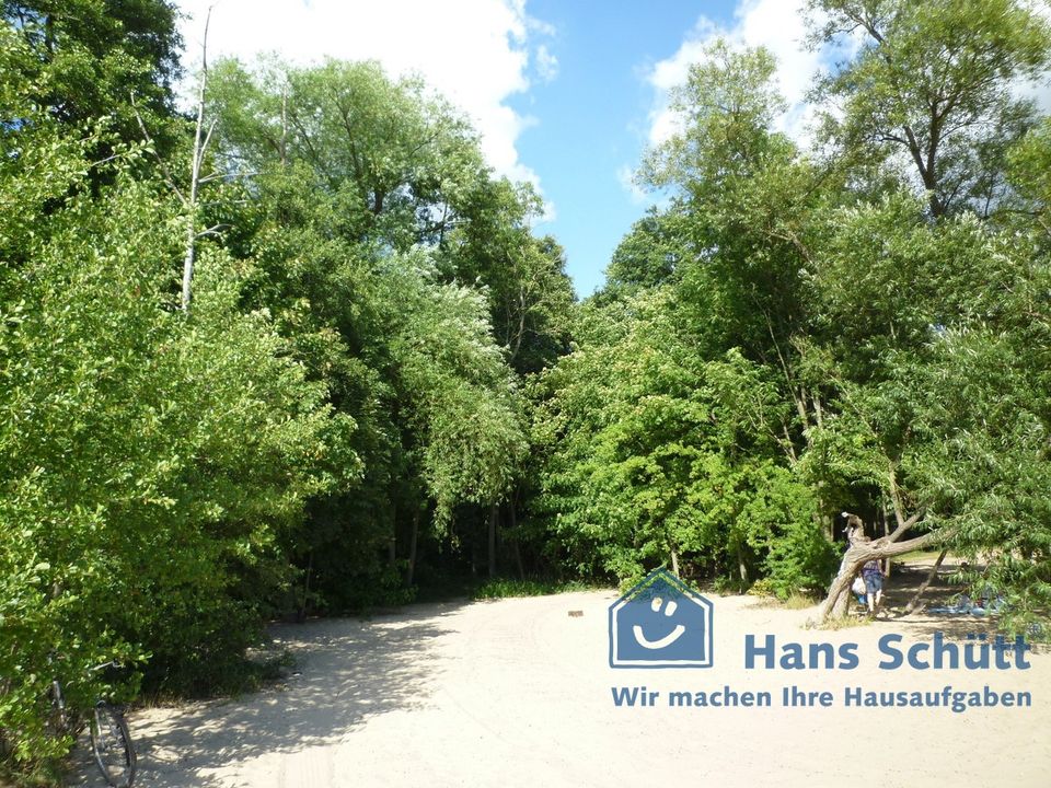 Waldflächen am westlichen Stadtrand Hamburgs im Naturschutzgebiet Wittenbergener Heide in Hamburg