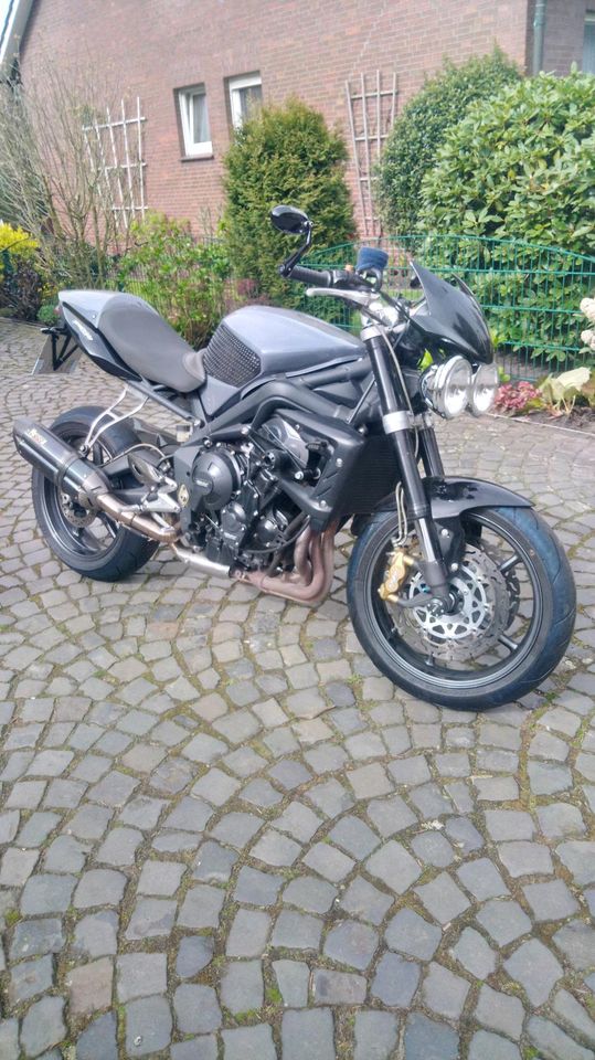 Street Triple 675 R in Vechta