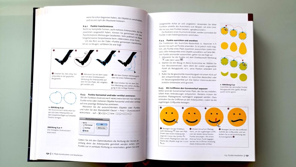 Handbuch Adobe Illustrator CS 5 in Bad Homburg