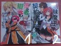 Japanisch Buch Light Novel Testament of Sister New Devil, Limelig Nordrhein-Westfalen - Willich Vorschau