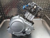 Yamaha YZF-R 125 Motor Austausch Motor mit Prüfstand Video Bayern - Vohburg an der Donau Vorschau