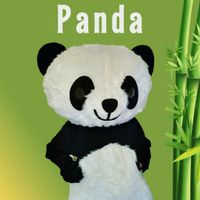 Panda Bär Maskottchen Kostüm Geburtstag Party Fasching Hochzeit Berlin - Steglitz Vorschau