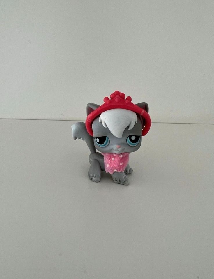 Littlest Pet Shop Katze Angorakatze #345 Sammelfigur Spielfigur in Hanau