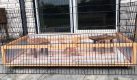 Meerschweinchen(Nager)-Stall auf Rollen Nordrhein-Westfalen - Rheine Vorschau