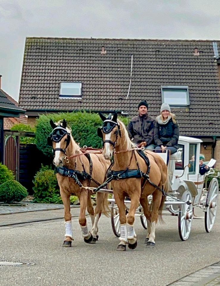 Hochzeitsfahrten, Kommunionsfahrt, Geburtstagsfahrten uvm in Marl