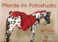 Pferde im Fotostudio   Autor/in: Boiselle, Gabriele Baden-Württemberg - Stutzenklinge Vorschau