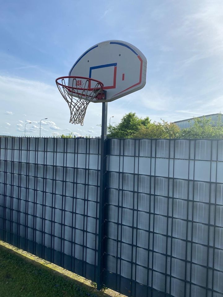 Basketball Korb Lifetime in Mehlingen