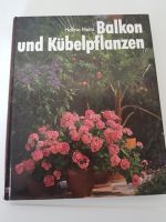 Balkon- und Kübelpflanzen. Halina Heitz Baden-Württemberg - Gosheim Vorschau