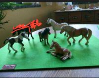 Schleich Pferde - Haflinger, Kaltblut, Tinkerfohlen incl.Porto Bayern - Röttingen Vorschau