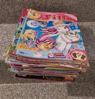 Paket Filly Zeitschriften gebraucht Kinderzeitschriften Nordrhein-Westfalen - Oer-Erkenschwick Vorschau