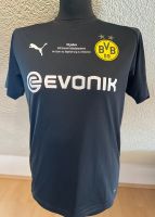 Puma Trikot Borussia Dortmund BVB Sondertrikot Akademie neu S/176 Sachsen - Lichtentanne Vorschau