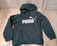 PUMA Pullover Hoodie Gr. 128 neuwertige Rheinland-Pfalz - Limburgerhof Vorschau