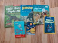 6 Kinderbücher zu verkaufen u.a. Dinosaurier,  Meerestiere, Sachsen - Freital Vorschau