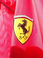 Ferarri Formel 1 leichte Jacke, Regenjacke Bayern - Ruhstorf an der Rott Vorschau