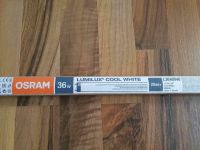 Leuchtstofflampe L36 Watt 840 - Osram Köln - Bayenthal Vorschau