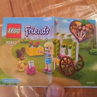 Lego Friends 30413 Niedersachsen - Hagen am Teutoburger Wald Vorschau