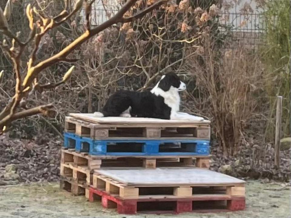 Malin – schüchterner Rohdiamant auf dem Weg zum Familienglück in Lichtenau Mittelfr