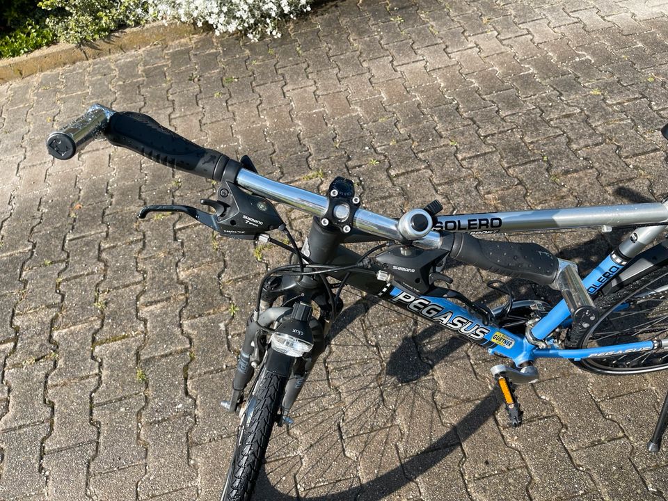 Pegasus Fahrrad 26" in Moosburg a.d. Isar