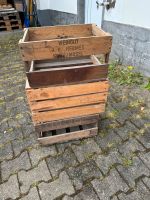 Weinkisten - Vintage Kisten - Dekokisten Rheinland-Pfalz - Trier Vorschau