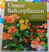 Unsere Balkonpflanzen Brandenburg - Schönwalde-Glien Vorschau
